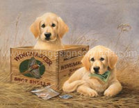 Wingmasters Tin Sign
