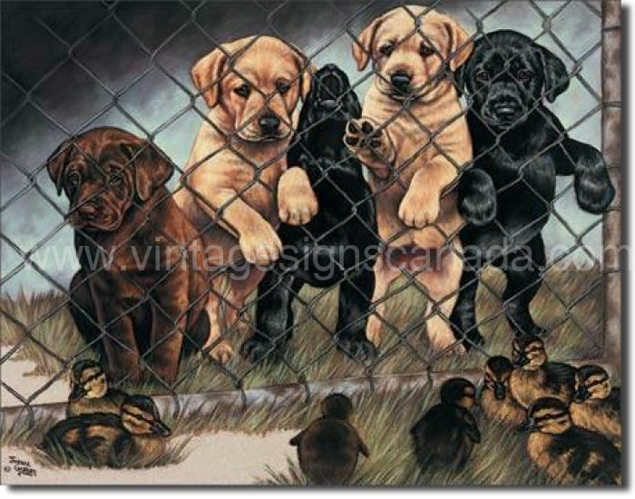 Graham-Jailbirds Tin Sign - Vintage Signs Canada