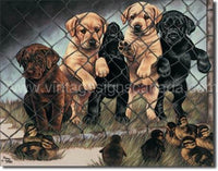 Graham-Jailbirds Tin Sign - Vintage Signs Canada