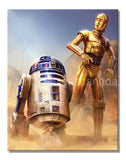 Star Wars C3Po-R2D2 Tin Sign-12X16 Sign