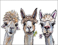 Alpaca Trio Tin Sign-16X12 Sign