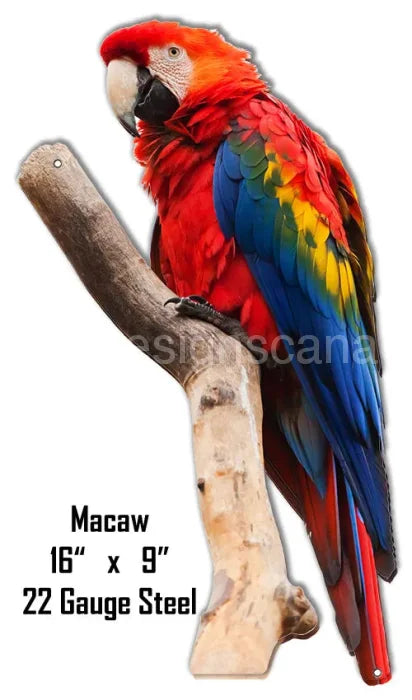 Macaw Animal Wall Art Laser Cut Out Metal Sign-9×16 Metal Sign