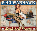 P-40 Warhawk Tin Sign