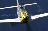 P51 Mustang Metal Sign Tin