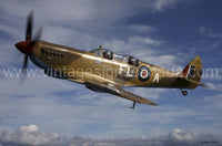 Spitfire Fla Metal Sign Tin